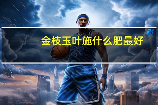 金枝玉叶施什么肥最好