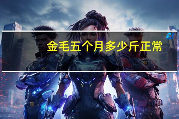 金毛五个月多少斤正常