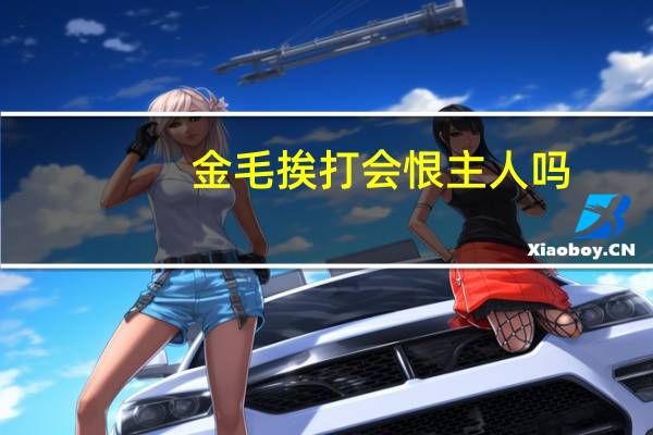 金毛挨打会恨主人吗