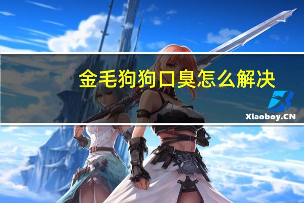 金毛狗狗口臭怎么解决