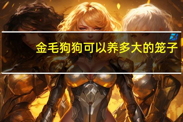 金毛狗狗可以养多大的笼子