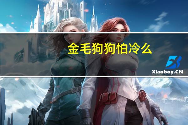 金毛狗狗怕冷么