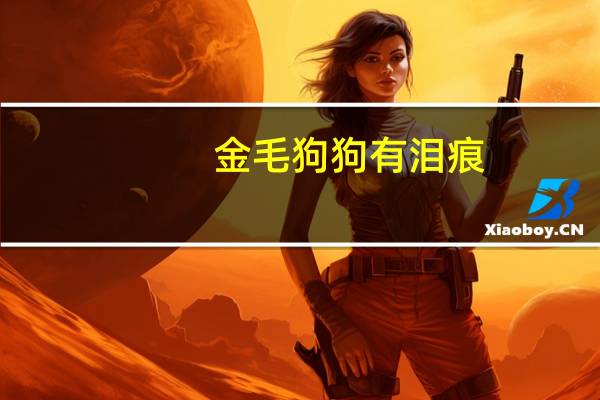 金毛狗狗有泪痕