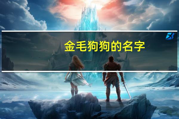 金毛狗狗的名字