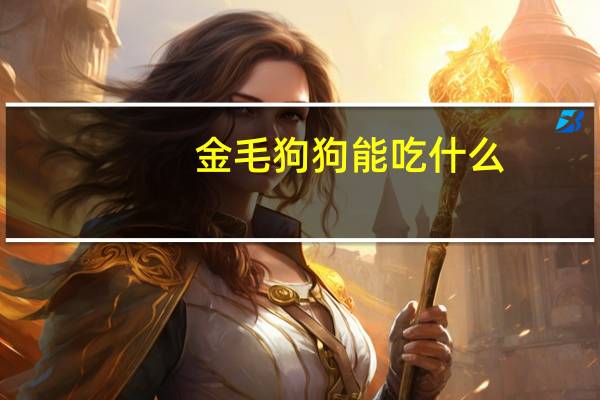 金毛狗狗能吃什么