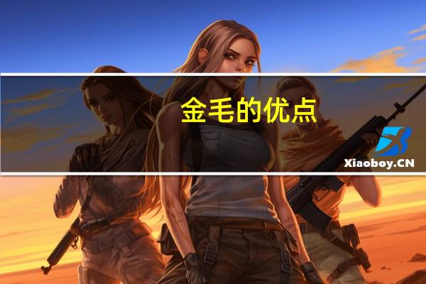 金毛的优点