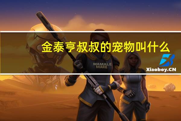 金泰亨叔叔的宠物叫什么