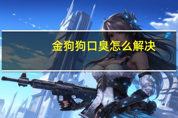 金狗狗口臭怎么解决