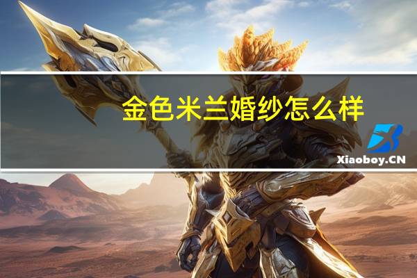 金色米兰婚纱怎么样