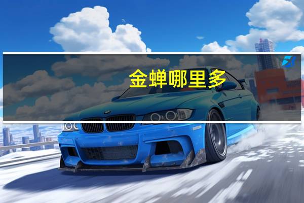 金蝉哪里多