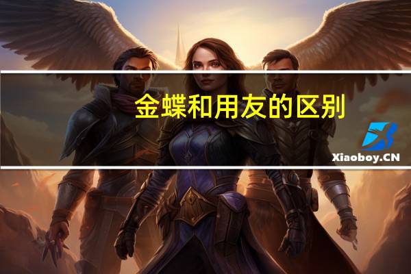 金蝶和用友的区别