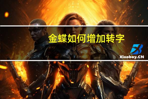 金蝶如何增加转字