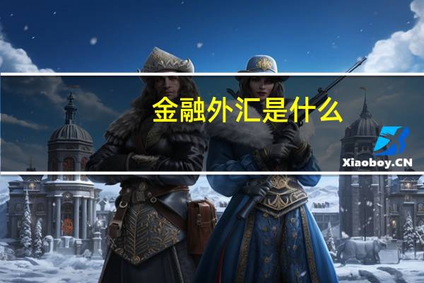 金融外汇是什么