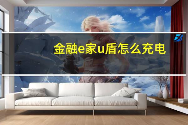 金融e家u盾怎么充电