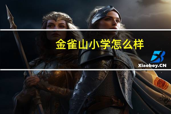 金雀山小学怎么样