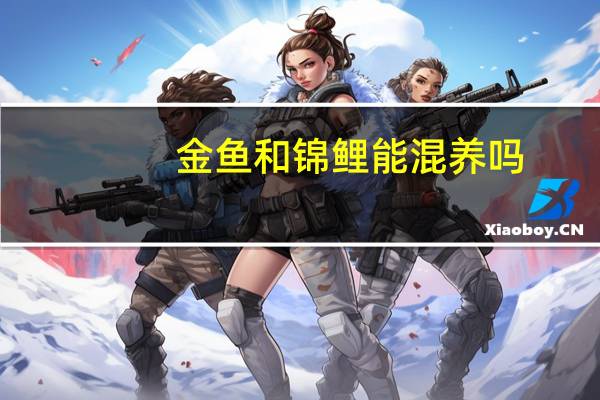 金鱼和锦鲤能混养吗