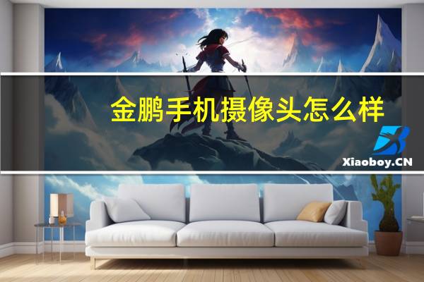 金鹏手机摄像头怎么样