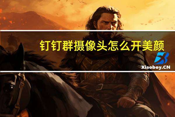 钉钉群摄像头怎么开美颜