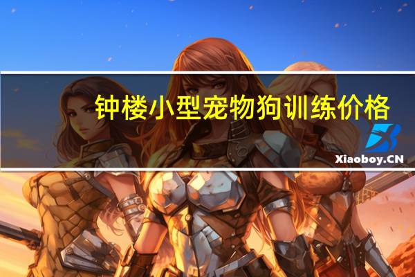 钟楼小型宠物狗训练价格