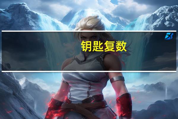 钥匙复数