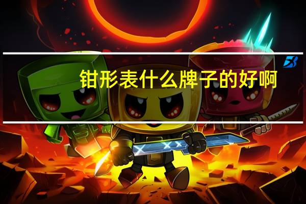 钳形表什么牌子的好啊