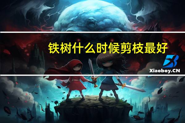 铁树什么时候剪枝最好