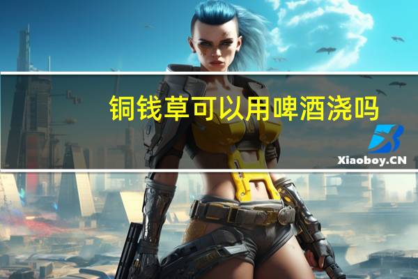 铜钱草可以用啤酒浇吗