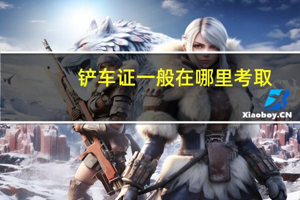铲车证一般在哪里考取