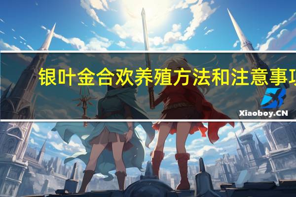 银叶金合欢养殖方法和注意事项