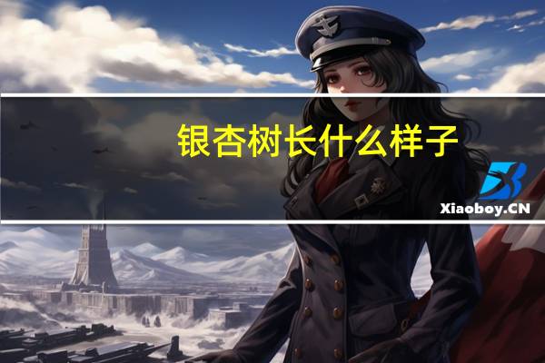 银杏树长什么样子