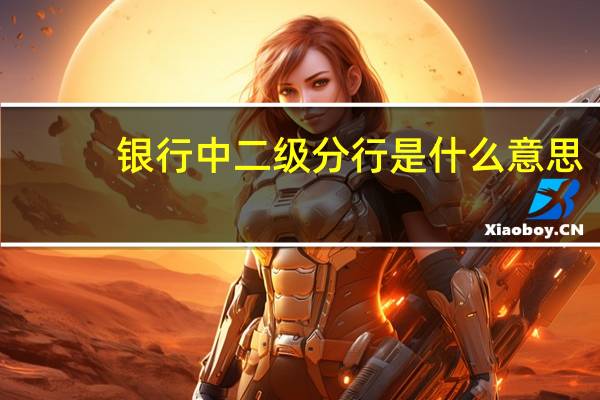 银行中二级分行是什么意思