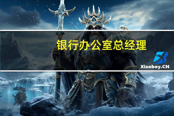 银行办公室总经理