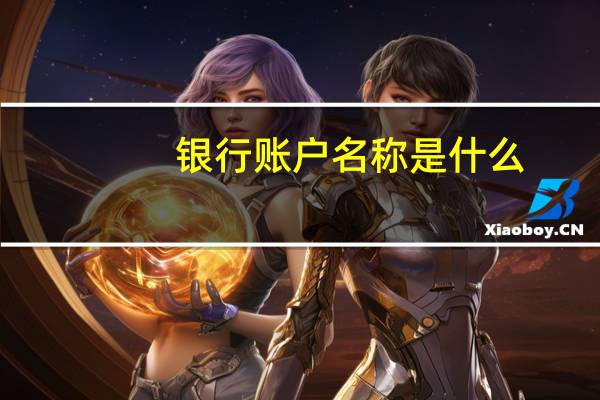 银行账户名称是什么