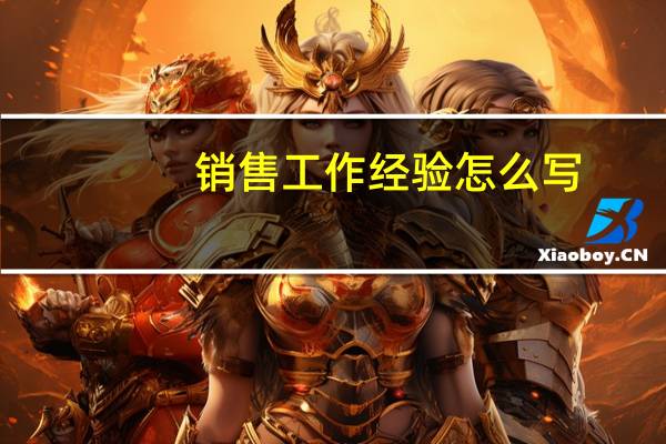 销售工作经验怎么写