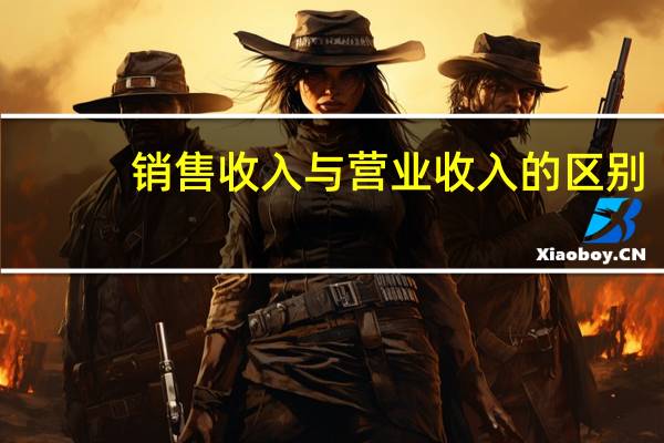 销售收入与营业收入的区别