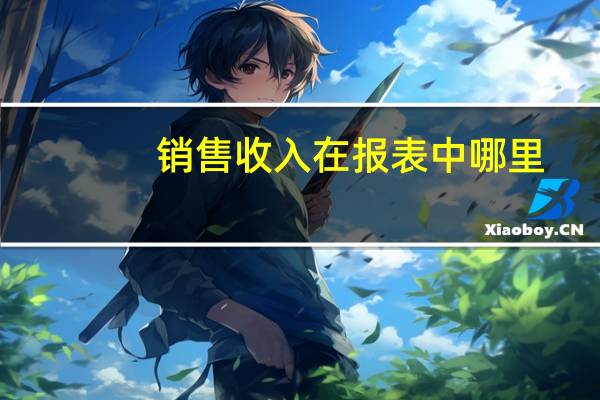 销售收入在报表中哪里