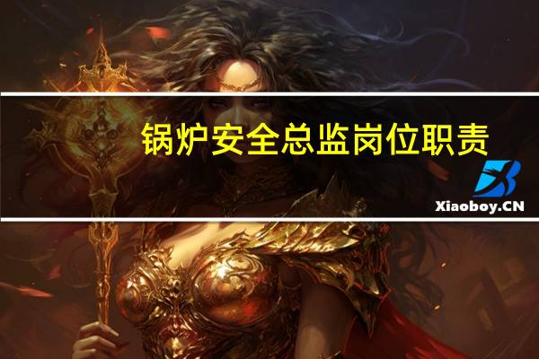 锅炉安全总监岗位职责