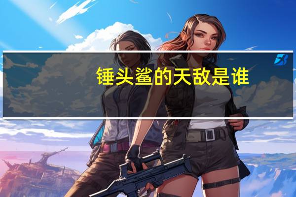 锤头鲨的天敌是谁