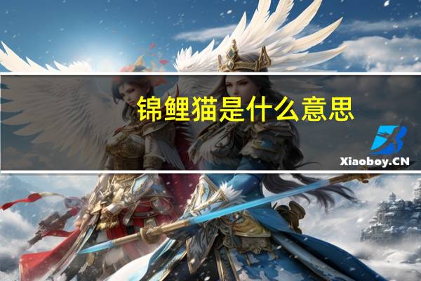 锦鲤猫是什么意思