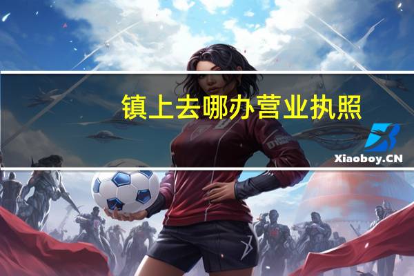 镇上去哪办营业执照