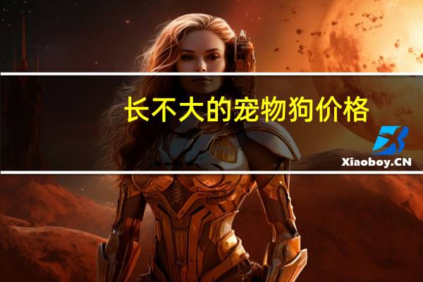 长不大的宠物狗价格
