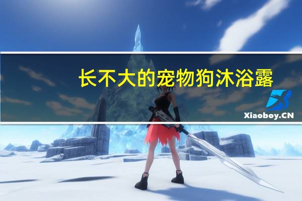 长不大的宠物狗沐浴露