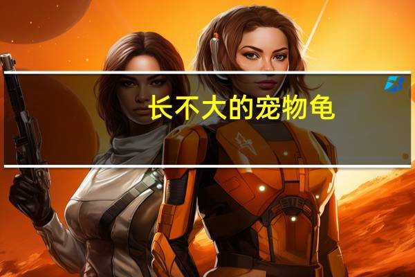 长不大的宠物龟