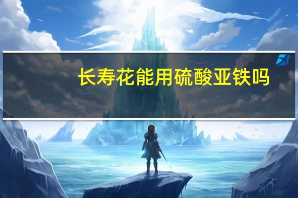 长寿花能用硫酸亚铁吗