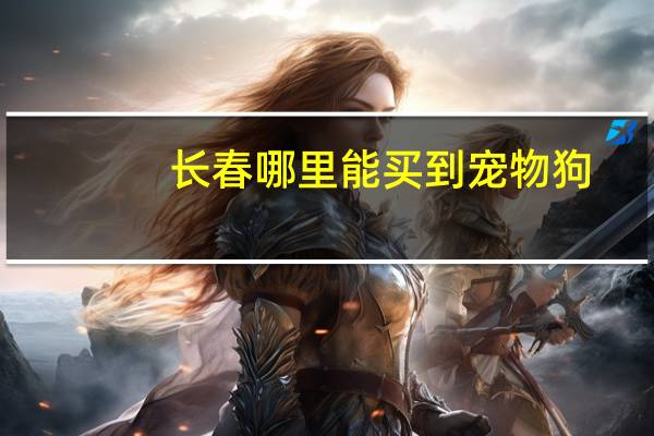 长春哪里能买到宠物狗