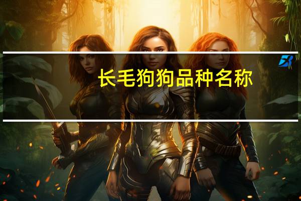 长毛狗狗品种名称