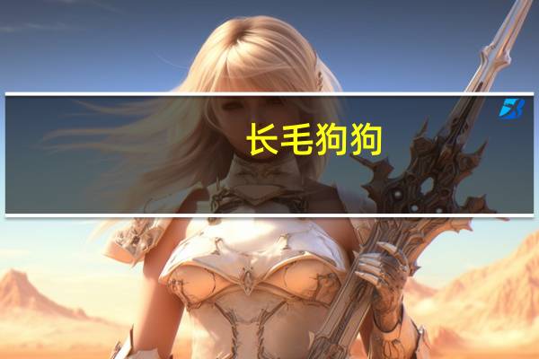 长毛狗狗