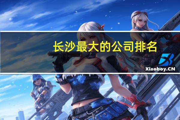 长沙最大的公司排名