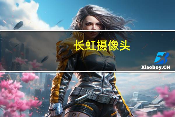 长虹摄像头