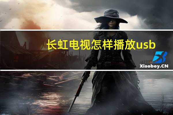 长虹电视怎样播放usb